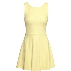 H&m skater dress
